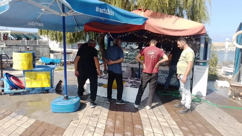 1 TON HAMSİ SATIŞTA…