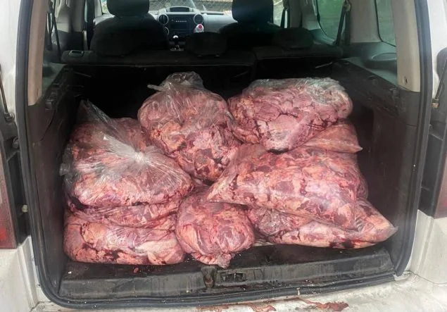 FB_IMG_1769191636584