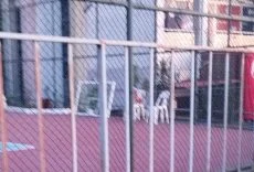 kozludaşaşkınlıkyaratan görüntü